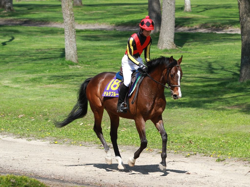 日本競馬からオーストラリアへ!海外で活躍目指す日本馬が増加中とは エスティーの競馬・ゲームお楽しみ広場